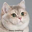 swerv0's Avatar